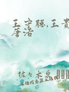 王守聪,王贵,唐浩