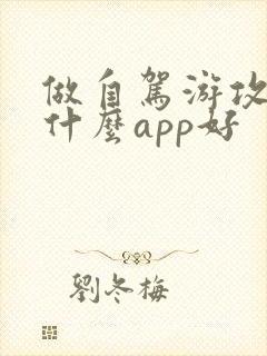做自驾游攻略用什么app好