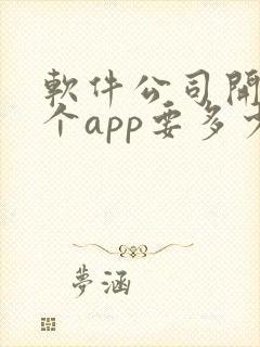 软件公司开发一个app要多少钱