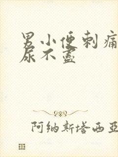 男小便刺痛尿频尿不尽
