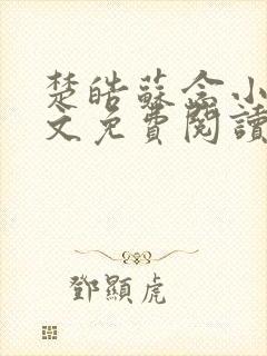 楚皓苏念小说全文免费阅读
