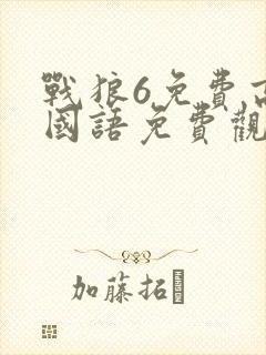 战狼6免费高清国语免费观看