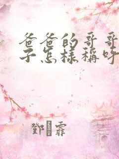 爸爸的哥哥的儿子怎样称呼