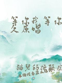 等你我等你那么久原唱