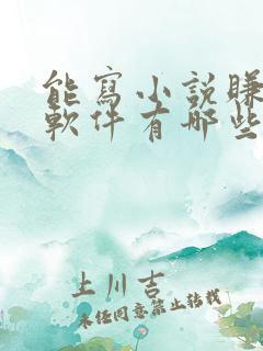 能写小说赚钱的软件有哪些