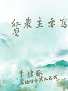 红岩主要写了什么