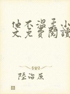 他不温柔小说全文免费阅读无弹窗