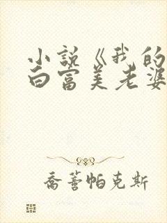 小说《我的总裁白富美老婆》