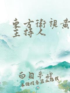 东方卫视黄小荷主持人