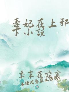 毒妃在上邪王在下小说