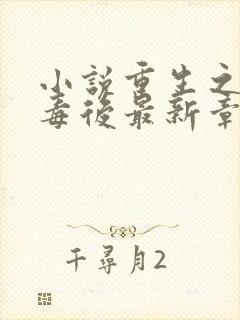 小说重生之将门毒后最新章节目录