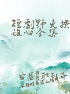短剧野火撩过姐姐心全集