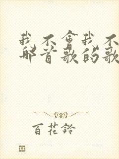 我不会我不会是哪首歌的歌词