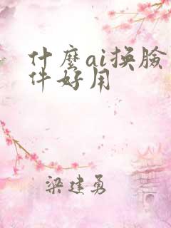 什么ai换脸软件好用