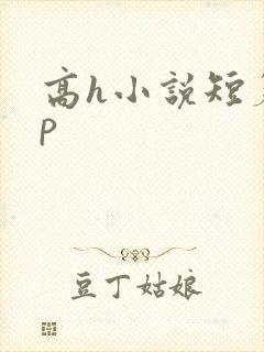 高h小说短篇np