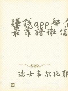 赚钱app哪个最靠谱微信提