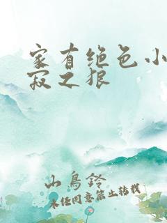 家有绝色小姨孤寂之狼