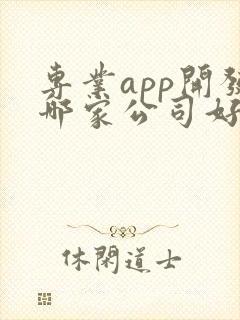 专业app开发哪家公司好