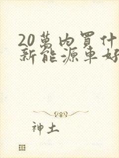 20万内买什么新能源车好