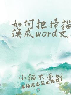 如何把扫描件转换成word文档
