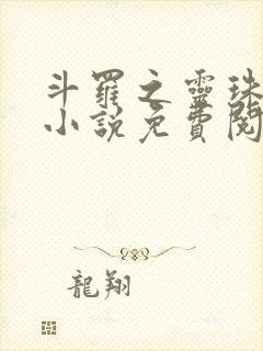 斗罗之灵珠神剑小说免费阅读txt下载