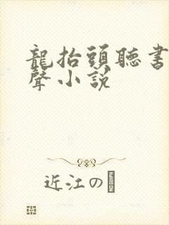龙抬头听书网有声小说