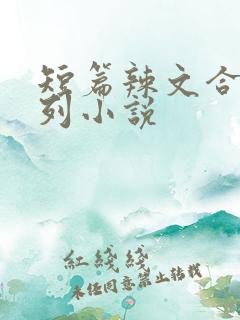 短篇辣文合集系列小说