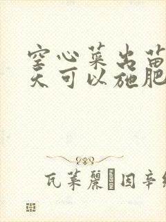 空心菜出苗后几天可以施肥