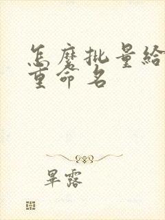 怎么批量给文件重命名