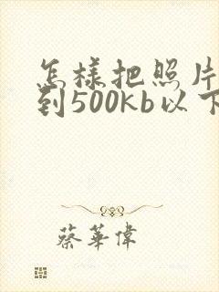 怎样把照片压缩到500kb以下