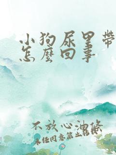 小狗尿里带血是怎么回事