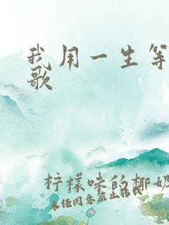 我用一生等你啥歌