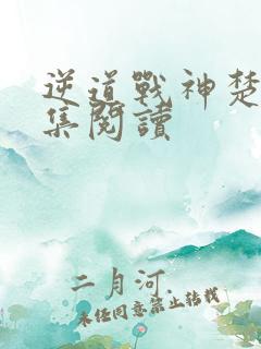 逆道战神楚枫全集阅读
