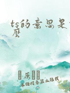 ts的意思是什么