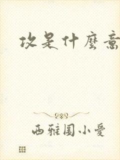 攻是什么意思呢