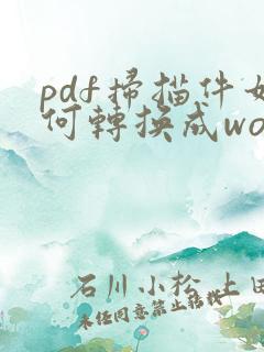 pdf扫描件如何转换成word