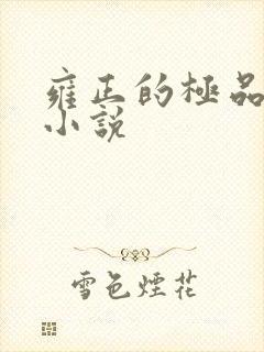 雍正的极品后宫小说