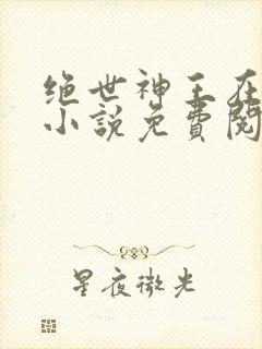 绝世神王在都市小说免费阅读全文