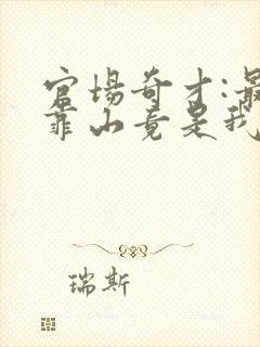 官场奇才:最强靠山竟是我自己李澜小说在
