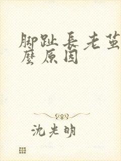 脚趾长老茧是什么原因