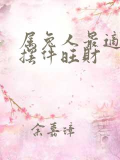属兔人最适合的摆件旺财