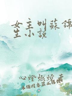 女主叫苏锦的重生小说