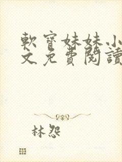 软宝妹妹小说全文免费阅读无弹窗