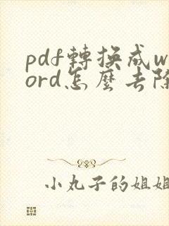 pdf转换成word怎么去除水印
