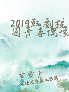 2019韩剧校园青春偶像剧大全
