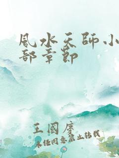 风水天师小说全部章节
