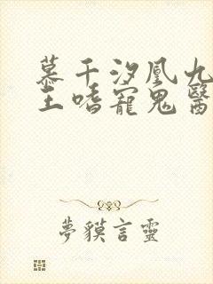 慕千汐凰九夜邪王嗜宠鬼医狂妃