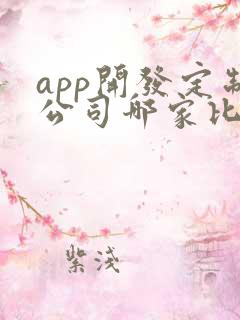 app开发定制公司哪家比较好