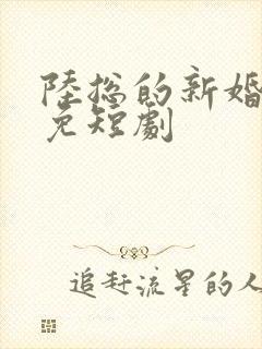 陆总的新婚哑妻免短剧