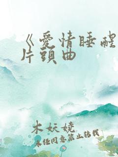 《爱情睡醒了》片头曲